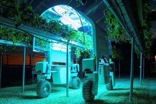 Saga robot applying UV-C to prevent mould on strawberries © Saga